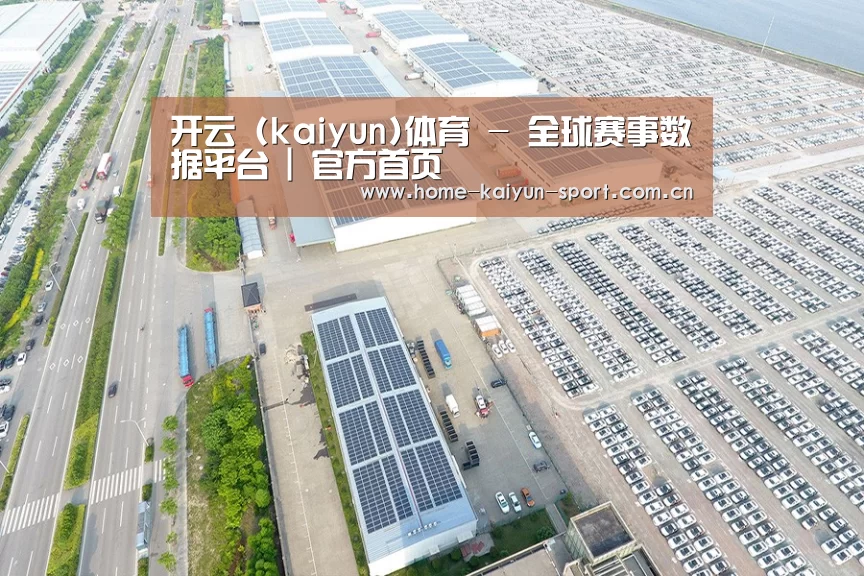 案例展示四