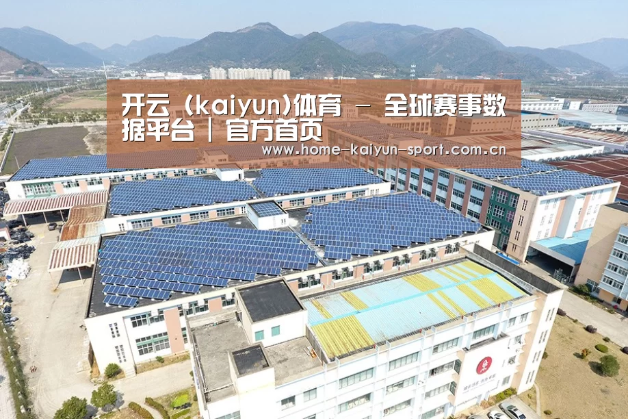 案例展示三