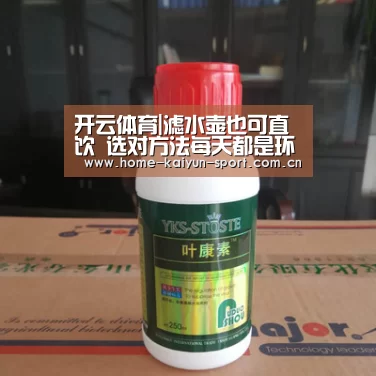 开云体育